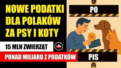 Nowe podatki dla Polaków za Psy i Koty | 15 MLN zwierząt  ponad MILIARD z podatków