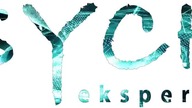 TOP 5 technik sprzedaży