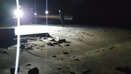 Darkness into Light - Fingal Rowing Club 2022