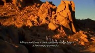 Khali muzułmanin porzuca islam [PL]