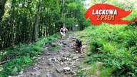 Lackowa, Ostry Wierch i Biała Skała z psem.  Burza w górach