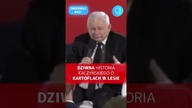 Dziwna historia Kaczyńskiego o kartoflach w lesie #shorts