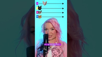 MONTAGEM MIAU | X4 SPEED 