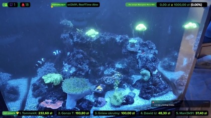 Made with Restream. Livestream on 30+ platforms at once via https://restream.io

Sprzątamy, przesadzamy i gadamy  :)

-------------------------------------------------------------------------------------------------------------------------------------------------
Zacznij wspierać ten kanał, a dostaniesz te bonusy:
https://www.youtube.com/channel/UCaMYr1C1Y0cHNbDgik_wIMA/join

Zapraszam na FB: https://www.facebook.com/bekonakwa
Discord: https://discord.gg/BkbHsheY2A

-----------------------------------------------------------------------------------------------------------------------------------------------------
!!!DONATE!!!  Podoba Ci się i chcesz mnie wesprzeć: https://tipply.pl/u/konradxxx3   !!!DONATE!!! 
------------------------------------------------------------------------------------------------------------------------------------------------------
https://bekonstudio.pl/