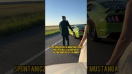 PALENIE GUMY MUSTANGIEM DO SESJI ŚLUBNEJ *sesja zdjęciowa*
