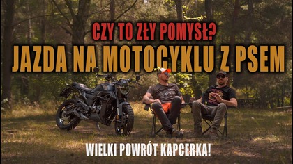 PIES NA MOTOCYKLU.  TOTALNE WARIACTWO I SKRAJNA NIEODPOWIEDZIALNOŚĆ?