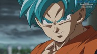 Dragon Ball Heroes 13