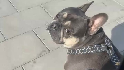 80883702-6756-41d7-843a-803f0f77d373