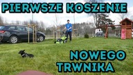 Na Działce! Vlog odc. 47 Pierwsze Koszenie Nowego Trawnika.  Czy trawnik się udał? #MajsterAmator