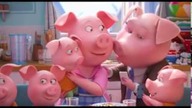 Sing (2016)  Zwiastun PL