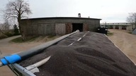 Fliegl załadowany pod korek i przecieka - sprzedaż rzepaku i kontrakty