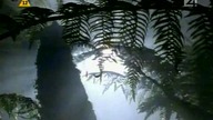 Galileo. 073. TV4