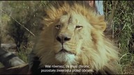 Roar (napisy pl) (1981)