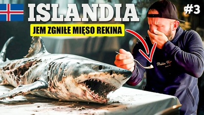 Najgorsze co w ŻYCIU JADŁEM! Zgniłe mięso rekina! Straszny smród i smak NIE POLECAM (Islandia) #3