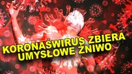 Cybernetyk ujawnia! Minusy ujemne, minusy dodatnie koronaświrusa/dr Maciej H.  Górny