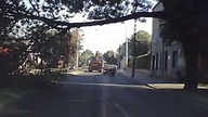 Ucieczka przed spadającą gałęzią
