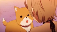 Gakkou Gurashi odcinek 9 napisy pl