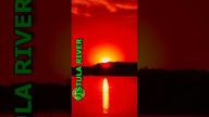 Sunset - Vistula River #shorts
