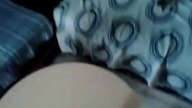 Jak zrobić 2 przydatne zabawki dla kota