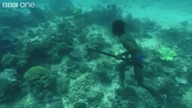 Spearfishing: polowanie na jednym wdechu