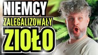 JAK KUPIĆ  W NIEMCZECH? Legalizacja w Niemczech!