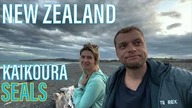 Tutaj FOKI spotkasz przy drodze - Nowa Zelandia #12