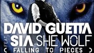 David Guetta Ft  Sia - She Wolf