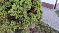 wspomnienia po pierwszej firmie budowlanej