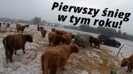 Vlog z farmy #25 Listopad 2020 Przyszła zima