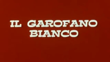 Tygrysia Maska Lektor PL. 084