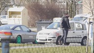 Auto z krwią na zderzaku