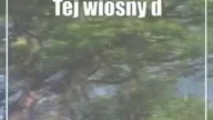 Lublin: Cztery nowe pomniki przyrody