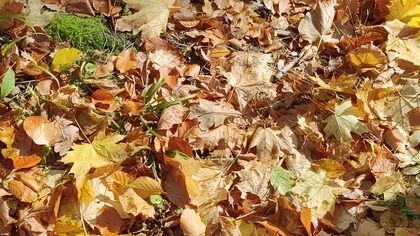 Bystra - niebezpieczna droga ze szpitala do Kapliczki