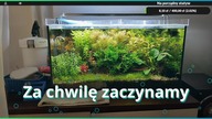 Przycinka w 54L akwa