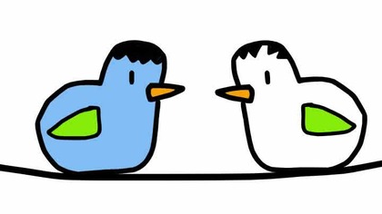 POV: Ptaki o 6 nad ranem