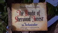 Banita z lasu Sherwood - The Bandit of Sherwood Forest - 1946 - wgrane napisy polskie
