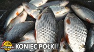 NIE MA BRAŃ ?? Szukamy spadów i półek feederem.