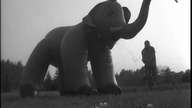 Słoń (1959)