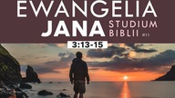 Studium Ewangelii Jana - 3:13-15 #11