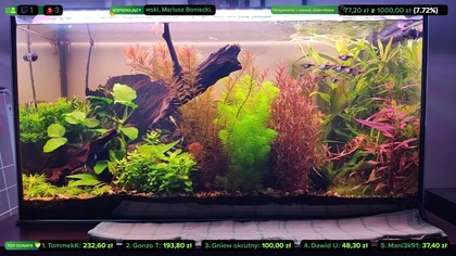 AkwaLive porządki [LIVE #148]