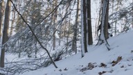 S03E01E02 Świat, kt&oacute;ry zajmujemy & Ostatnie jednorożce