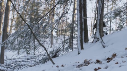 S03E01E02 Świat, kt&oacute;ry zajmujemy & Ostatnie jednorożce