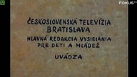 Sąsiedzi- Łyżwiarze (Fokus TV)