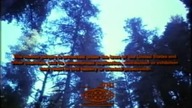 Krwawy biwak - The final terror [1983] VHSRip