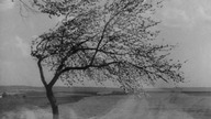 Krakatit (1948) ENG