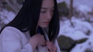 Shinobi. 2005.pl. BRRip. 480p. XviD. AC3-LTN