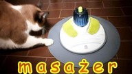 Jak działa masażer dla kot&oacute;w ?