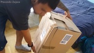 Unpacking terrarium 25/25/40 od TERRARYSTA.COM