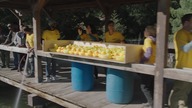 N31S. S17E18.pl. 1080p. AMZN. WEB-DL. DD2. 0. H264-Ralf