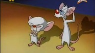 Pinky i M&oacute;zg S03E04 - Dop&oacute;ki piłka w grze - ziemio przem&oacute;w